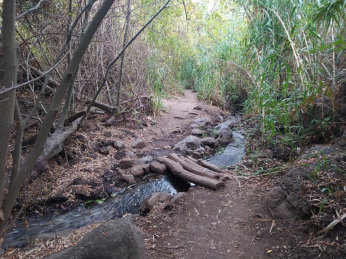 Epigrafía en el Barranco de Los Cernícalos