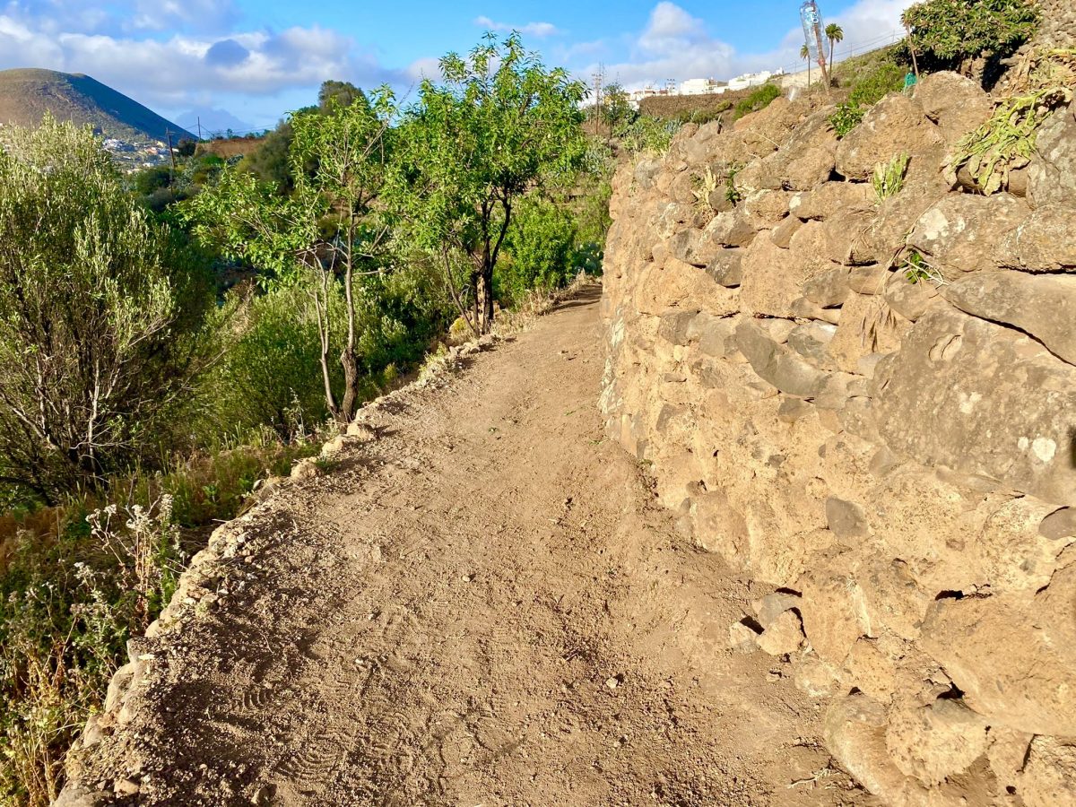 La participación ciudadana en el rescate del Camino de Los Arenales