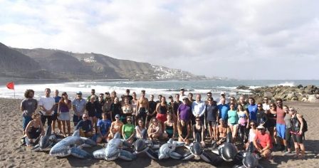 cetáceos-Playa-de-La-Laja.jpg