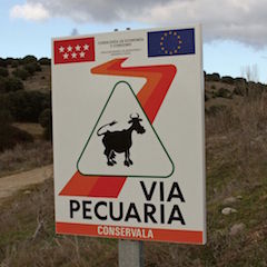 VIA PECUARIA.jpg