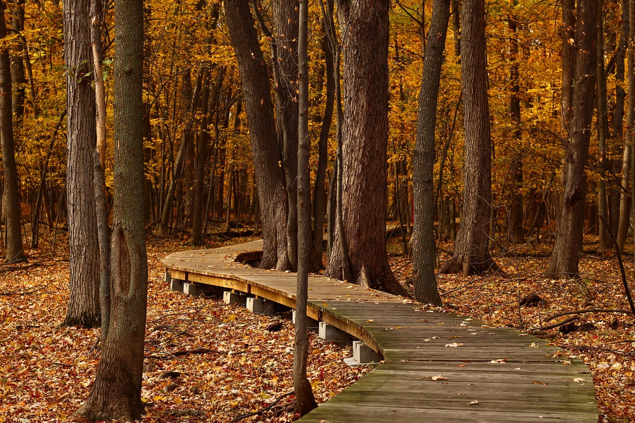 otoño