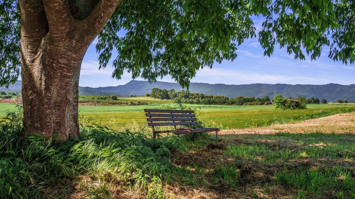 paisaje relax